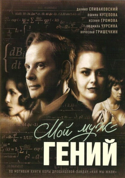 Мой муж – гений (2008) постер