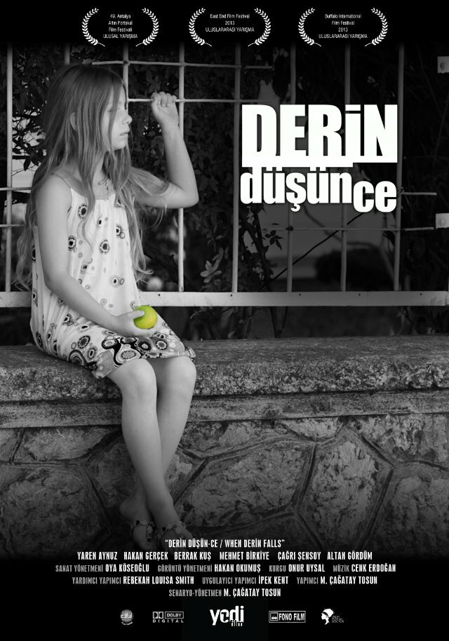 Derin Düsün-ce (2013) постер